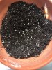 soil.JPG