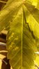 20170913_211059.jpg