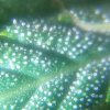 IMG_20170914_161335_021.jpg