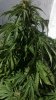 20170915_133812.jpg