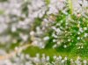 20170918_084314.jpg
