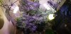 20170915_184512.jpg