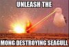 FB_IMG_1504006785317.jpg