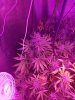 20170921_153658.jpg