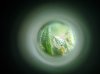 20170921_211542.jpg