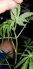 20170921_223941.jpg