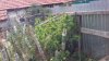 20170922_150410.jpg 20170922_150410.jpg