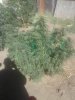 20170923_102551.jpg