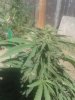 20170923_102600.jpg