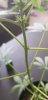 20170924_133742.jpg