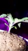 mir_20170926_155759.jpg