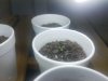 20170926_190903.jpg