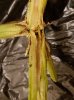20170928_084103.jpg