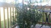 20170909_091905.jpg