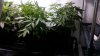 20170930_132858.jpg 20170930_132858.jpg