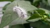 20170822_190251.jpg