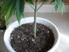 100_0038.jpg