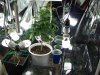 100_0042.jpg