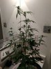 IMG_20171001_100310.jpg