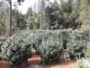 20170924_143143.jpg