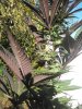 IMG_20171004_154227.jpg