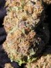 bd drying (1).JPG