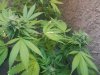 20171006_083856.jpg