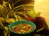 20171012_162527.jpg