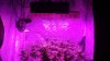 led lights in tent.JPG