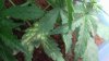20171016_183023.jpg