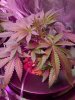 20171016_152135.jpg