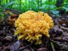 IMG_20170905_084428-2.jpg