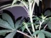 20170701_093254.jpg