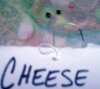 cheese_seeds_germ.jpg