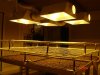DSC02818.jpg