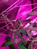 20171020_035553.jpg
