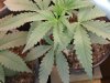 20171021_200813.jpg
