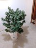 IMG_20171022_194206.jpg