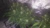 20171023_174415.jpg
