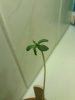 20171023_123623.jpg 20171023_123623.jpg