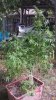 20171013_133934.jpg