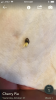 95996282-5E2B-4100-B1A3-F100AE7D6832.png