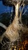 20171027_104740.jpg