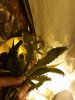 20171027_161852.jpg