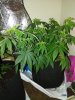 IMG_20171028_210218.jpg