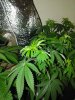 IMG_20171028_210228.jpg