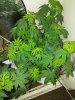 IMG_20171028_210156.jpg