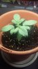 20171105_013030.jpg