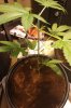 IMG_20171005_1717239.jpg