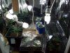 100_0048.jpg